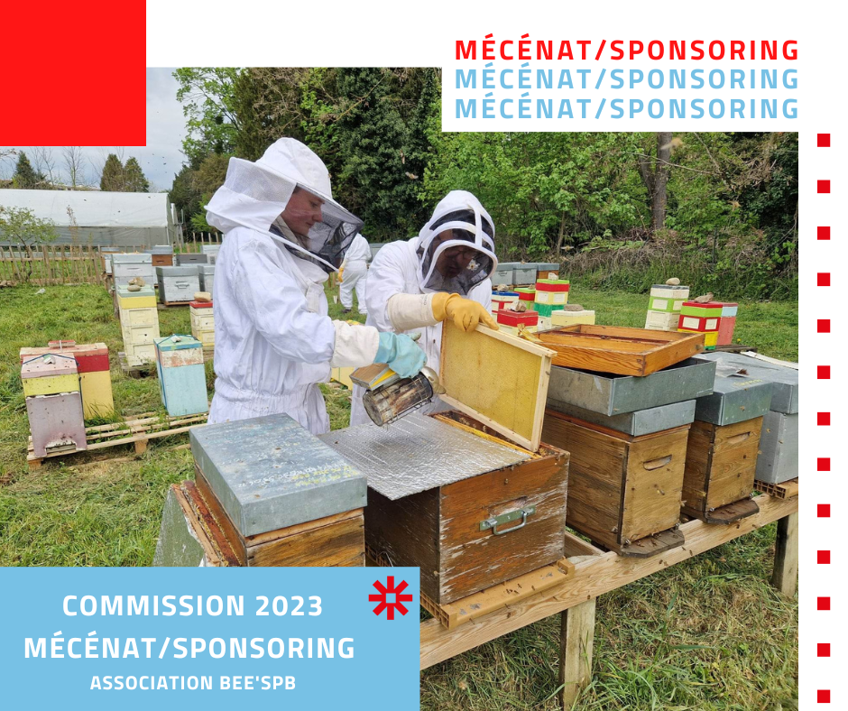 Commission mécénat sponsoring : Bee'SPB